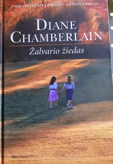 Žalvario žiedas - Diane Chamberlain, knyga