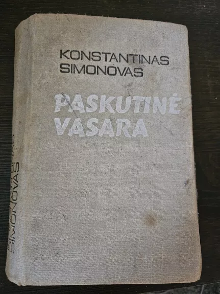 Paskutinė vasara