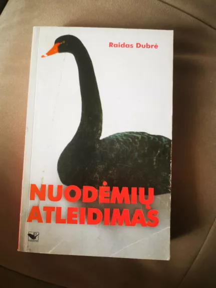 Nuodėmių atleidimas - Raidas Dubrė, knyga 1