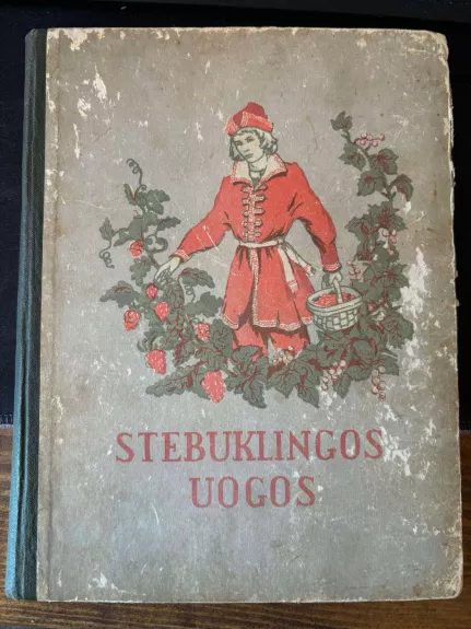 Stebuklingos uogos - A. Nečajevas, knyga