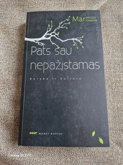 Pats sau nepažįstamas - Marcelijus Martinaitis, knyga