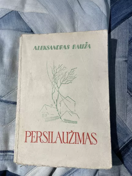 Persilaužimas - Aleksandras Bauža, knyga 1