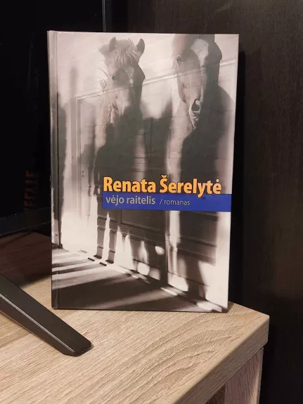 Vėjo raitelis - Renata Šerelytė, knyga