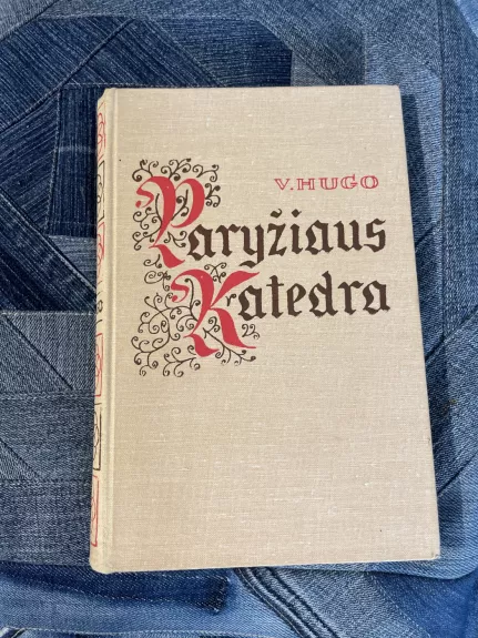 Paryžiaus katedra - Viktoras Hugo, knyga 1