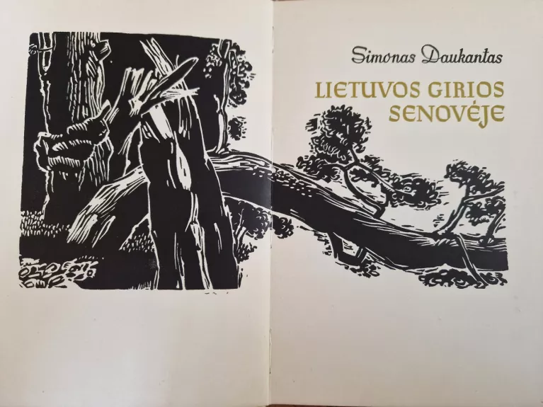 Lietuvos girios senovėje - Simonas Daukantas, knyga 1