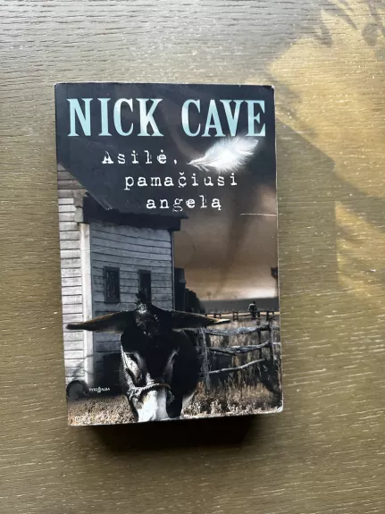 Asilė, pamačiusi angelą - Nick Cave, knyga 1