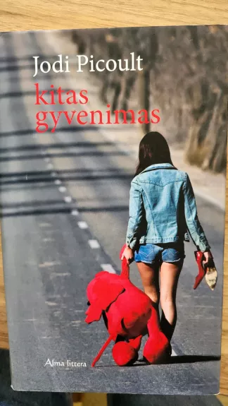 Kitas gyvenimas - Jodi Picoult, knyga 1