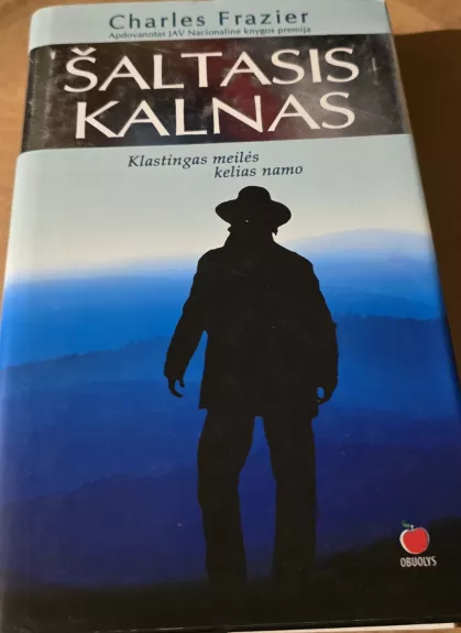 Šaltasis kalnas - Charles Frazier, knyga 1