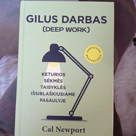 Gilus darbas - Cal Newport, knyga