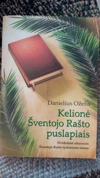 Kelionė Šventojo Rašto puslapiais - Danielius Oželis, knyga