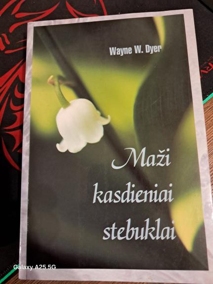 Maži kasdieniniai stebuklai - Wayne W. Dyer, knyga 1