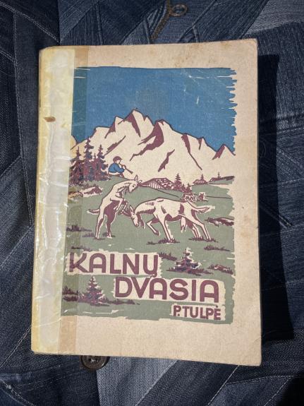 Kalnų dvasia