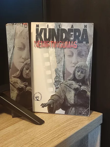 Nemirtingumas - Milan Kundera, knyga