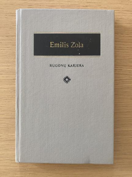 Rugonų karjera - Emilis Zola, knyga