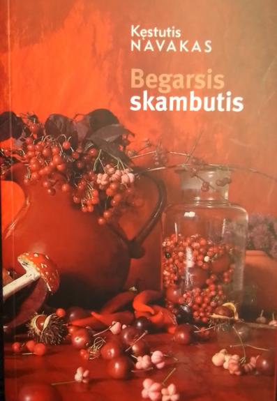 Begarsis skambutis: esė - Kęstutis Navakas, knyga