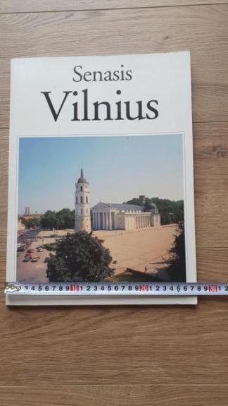 Senasis Vilnius. Praeitis ir dabartis - Autorių Kolektyvas, knyga 1