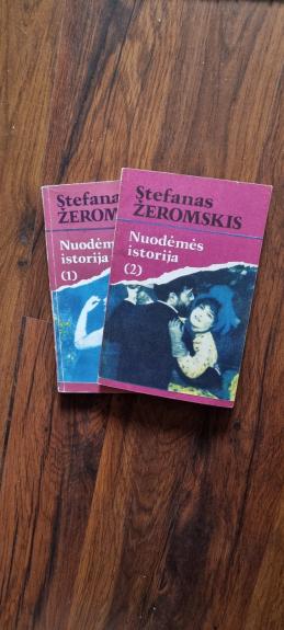 Nuodėmės istorija (2 dalys) - Stefanas Žeromskis, knyga