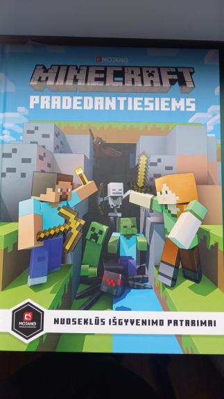 Minecraft pradedantiesiems