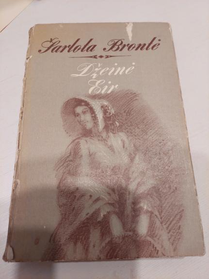 Džeinė Eir - Charlotte Bronte, knyga 1