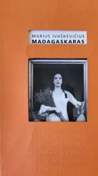 Madagaskaras - Marius Ivaškevičius, knyga