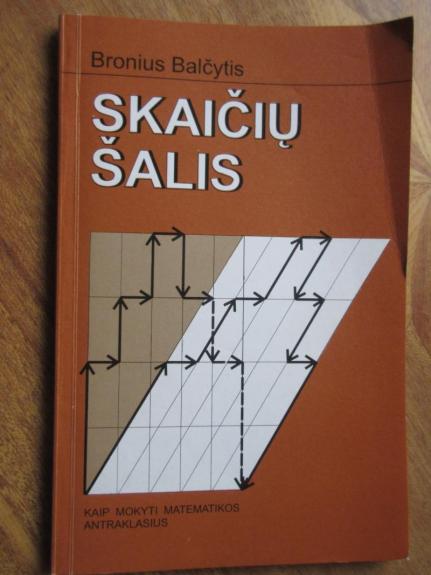 Skaičių šalis