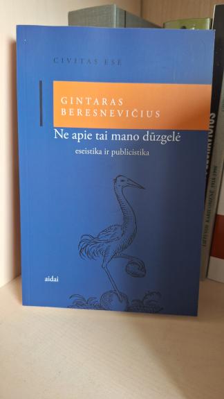 Ne apie tai mano dūzgelė: eseistika ir publicistika - Gintaras Beresnevičius, knyga 1