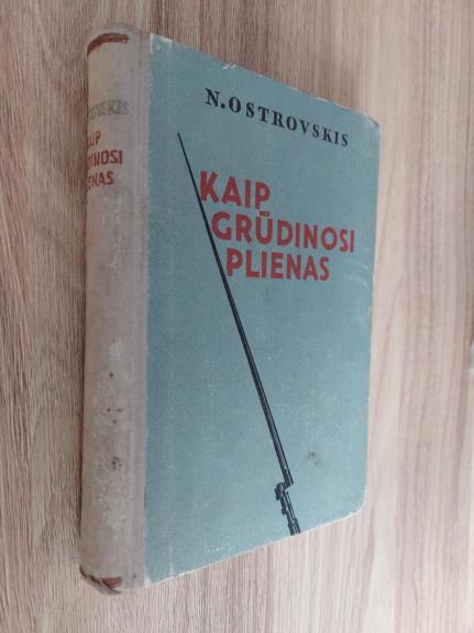 Kaip grūdinosi plienas - N. Ostrovskis, knyga