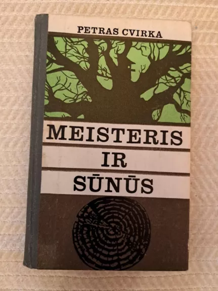 Meisteris ir sūnūs