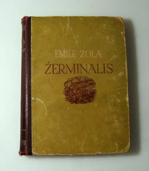 Žerminalis