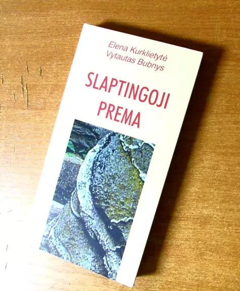 Slaptingoji prema