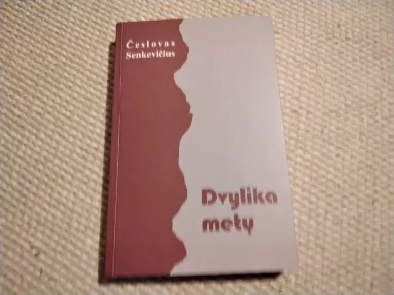 Dvylika metų