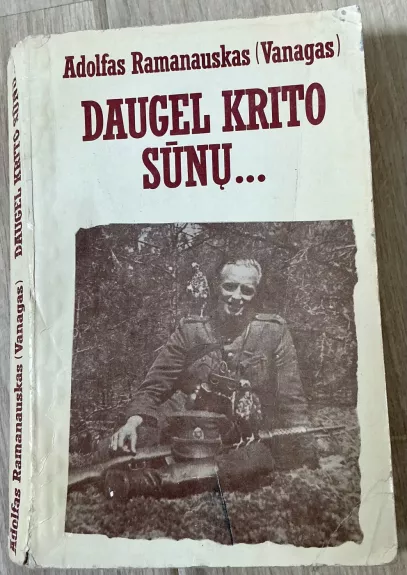 Daugel krito sūnų...