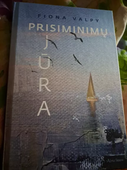 PRISIMINIMŲ JŪRA