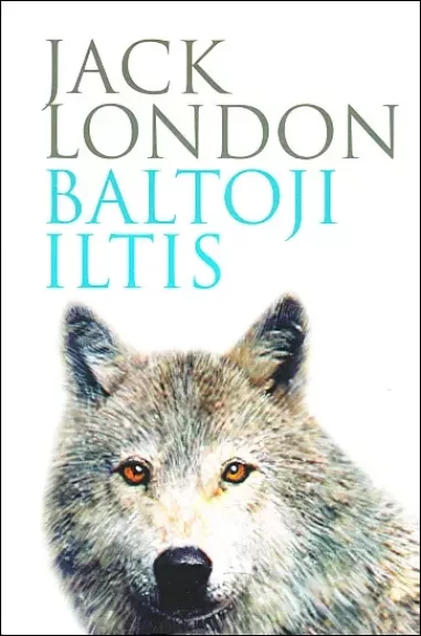 Baltoji iltis