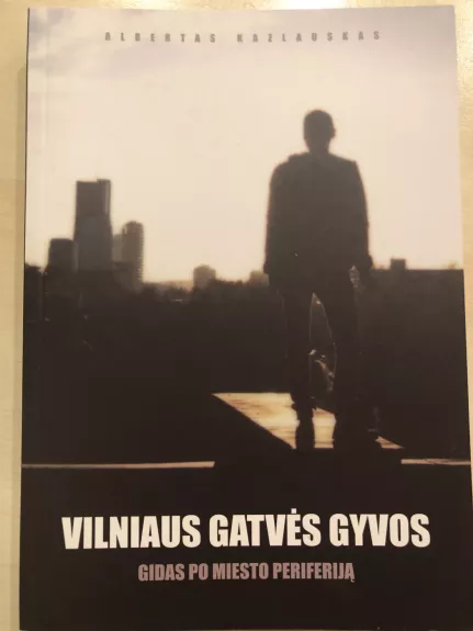 Vilniaus gatvės gyvos: gidas po miesto periferiją