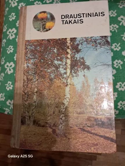 Draustinias takais