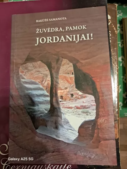 Žuvėdra, pamok Jordanijai!