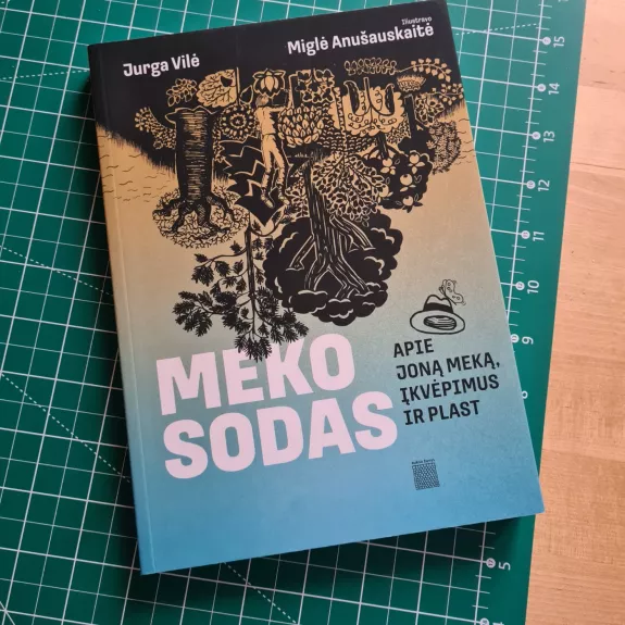 Meko sodas: Apie Joną Meką, įkvėpimus ir plast