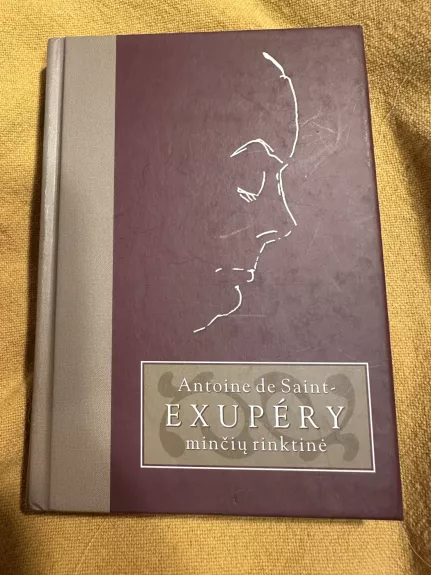 Antoine de Saint-Exupery minčių rinktinė