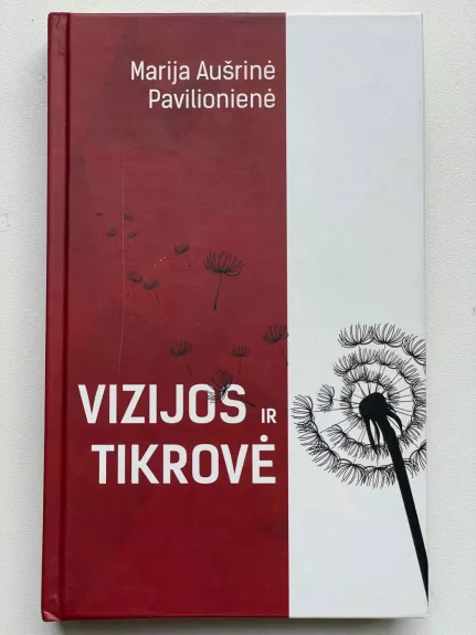 Vizijos ir tikrovė