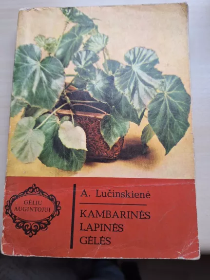 Kambarinės lapinės gėlės