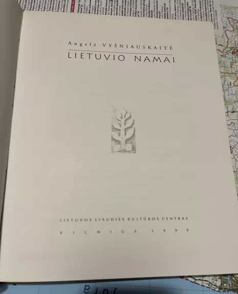 Lietuvio namai