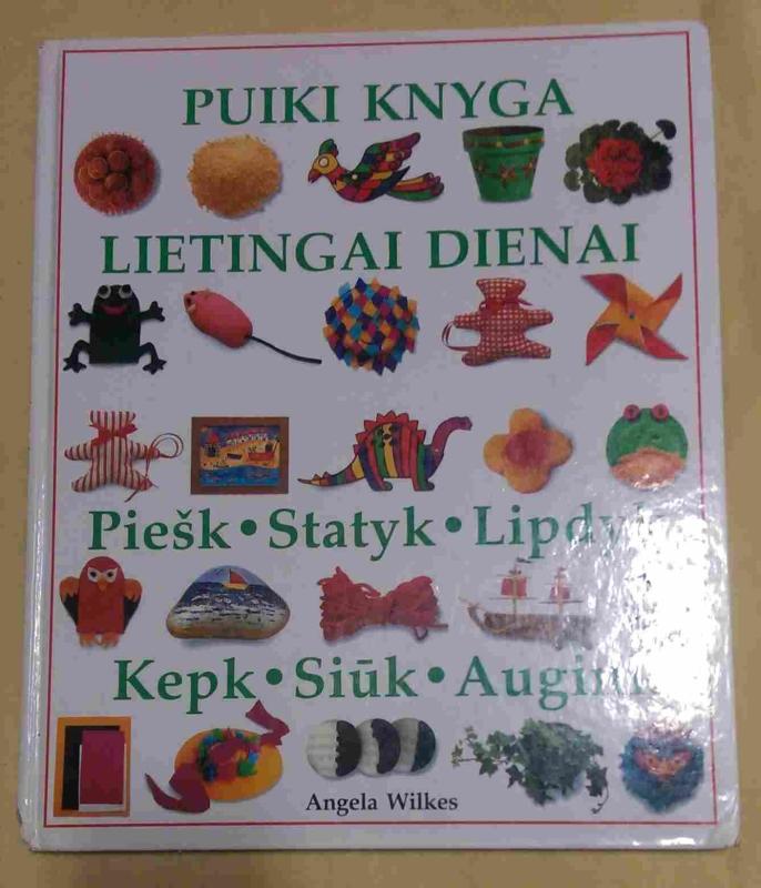 Puiki knyga lietingai dienai - Angela Wilkes, knyga 2