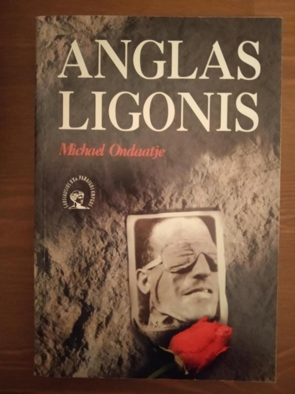 Anglas ligonis - Michael Ondaatje, knyga 3