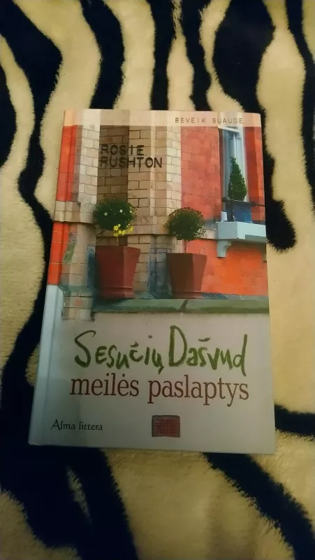 Sesučių Dašvud meilės paslaptys - Rosie Rushton, knyga 3