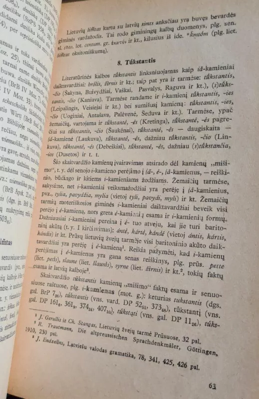 Kai kurie lietuvių kalbos gramatikos klausimai - Autorių Kolektyvas, knyga 3