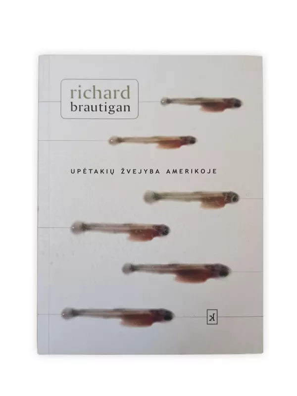 Upėtakių žvejyba Amerikoje - Richard Brautigan, knyga 3