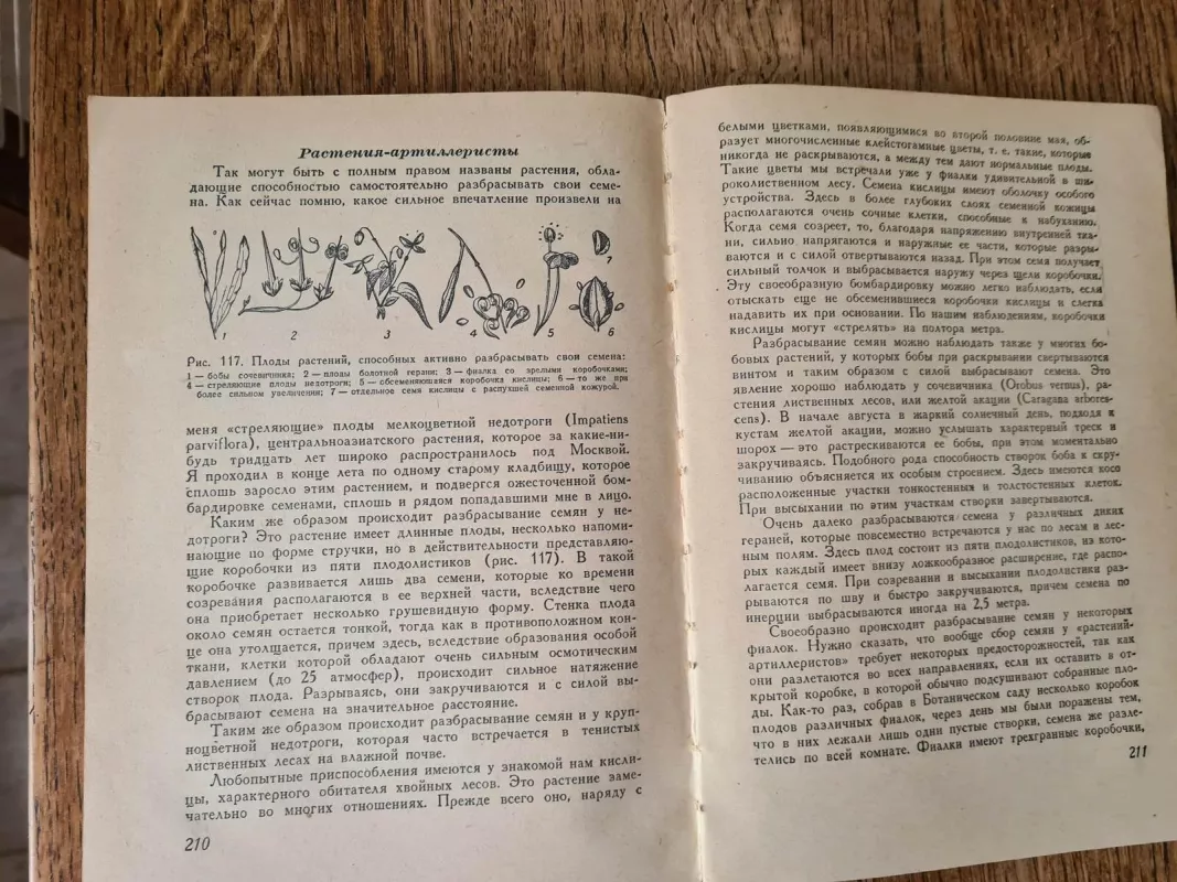 Весна и осень в жизни растений - Александр Кожевников, knyga 5