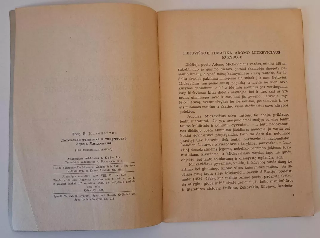 Lietuviškoji tematika Adomo Mickevičiaus kūryboje - V. Mykolaitis, knyga 3