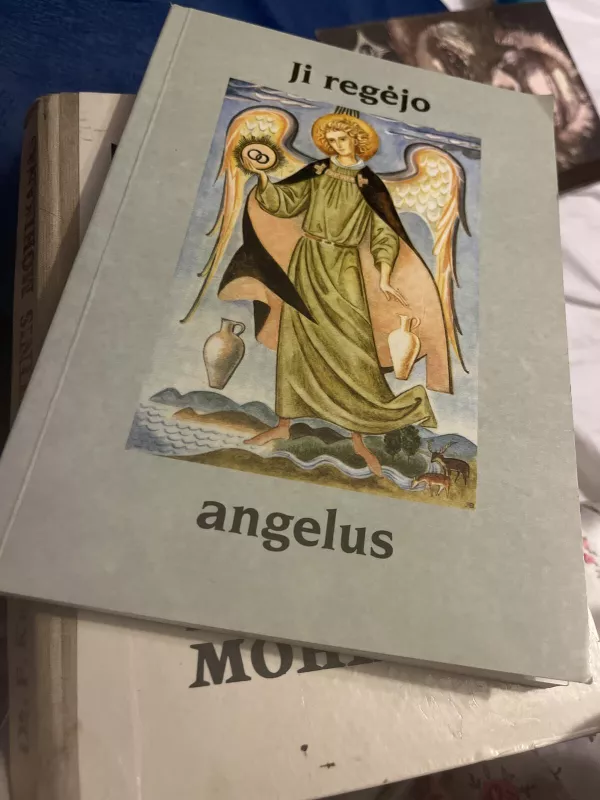 Ji regėjo angelus - Gabrielė Biterlich, knyga 3